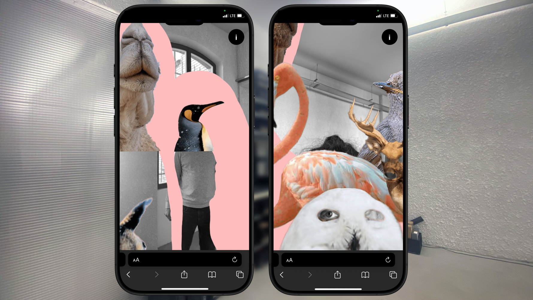 360° Tiersalat - Interaktive Web-AR für Kinder