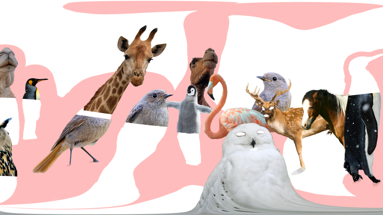 360° AR-Momente - Immersive Web-AR Erlebnisse